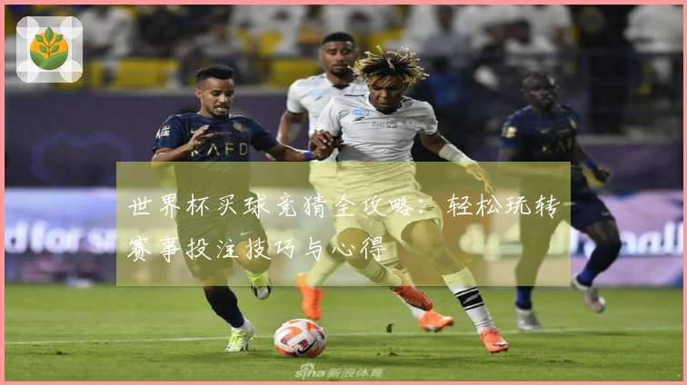 世界杯买球竞猜全攻略：轻松玩转赛事投注技巧与心得