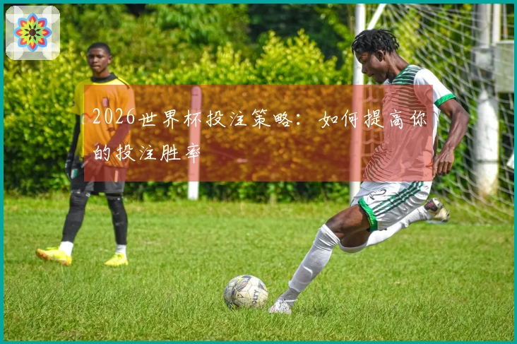 2026世界杯投注策略：如何提高你的投注胜率