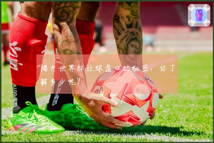 揭开世界杯让球盘口的秘密，你了解多少呢？