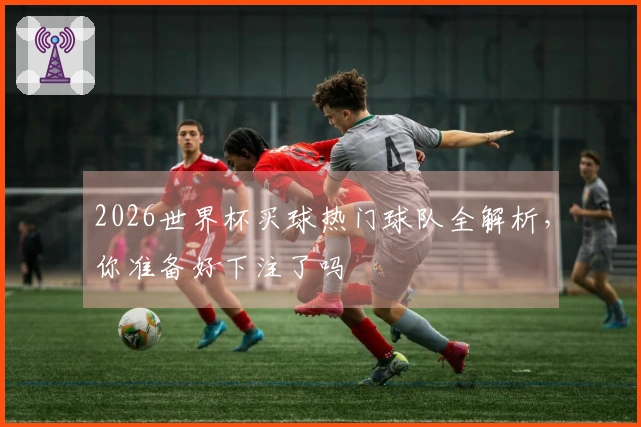 2026世界杯买球热门球队全解析，你准备好下注了吗