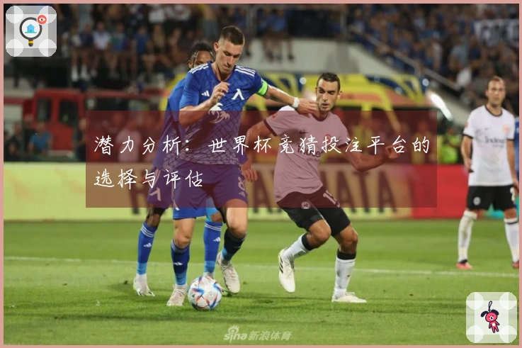 潜力分析：世界杯竞猜投注平台的选择与评估