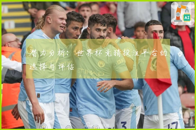 潜力分析：世界杯竞猜投注平台的选择与评估