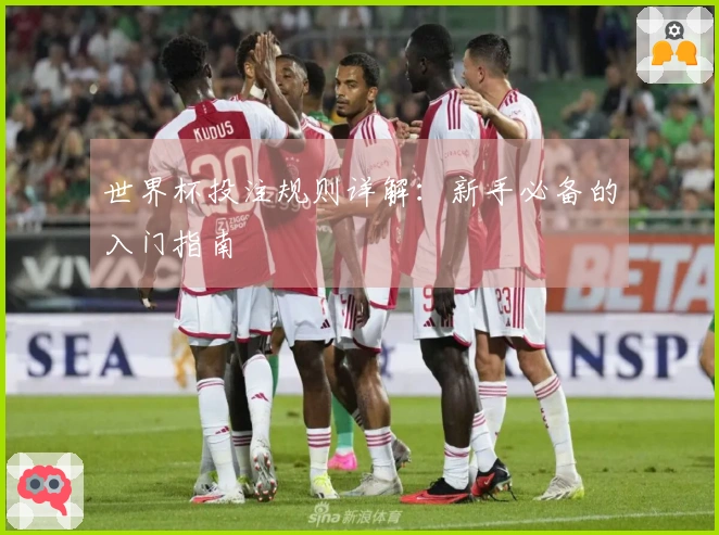 世界杯投注规则详解：新手必备的入门指南